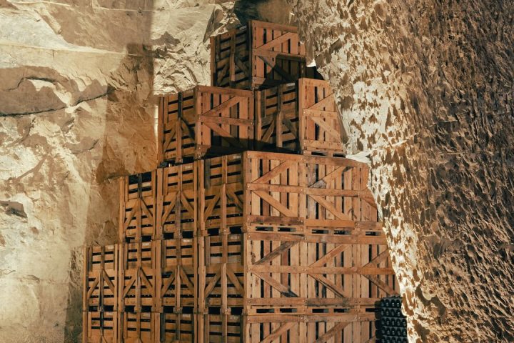 Champagne Brut Tasting Experience