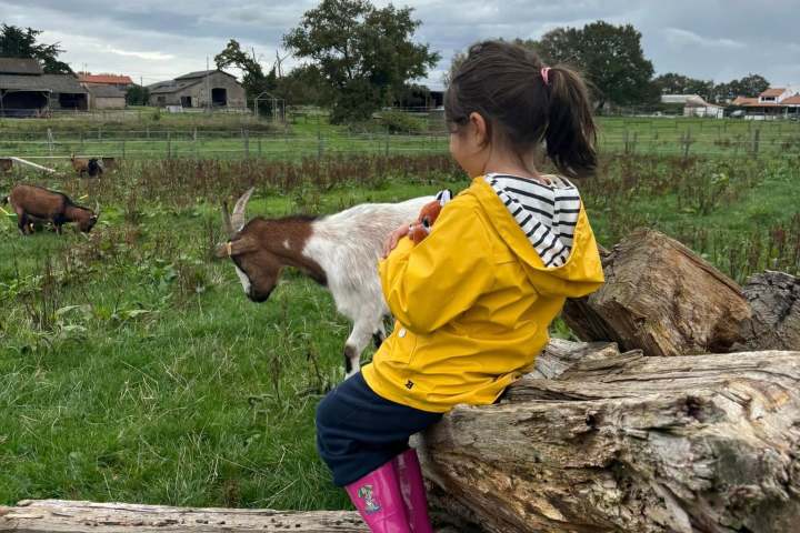 Pays-de-la-Loire Introduction to the Farm Experience
