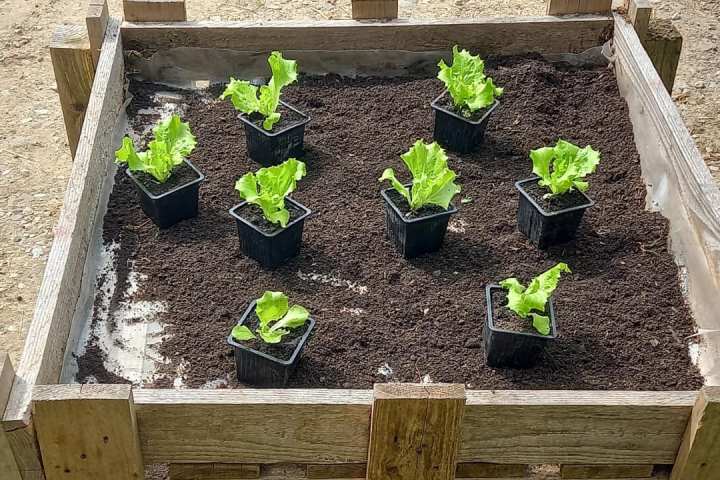 Aquitaine Vegetable Garden Workshop Experience