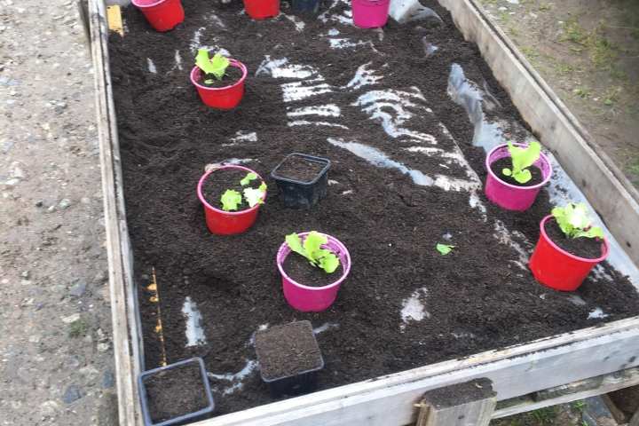 Aquitaine Vegetable Garden Workshop Experience