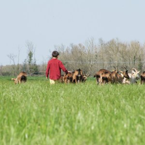 Loire Garden & Farm Immersive Experience