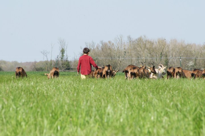 Loire Garden & Farm Immersive Experience