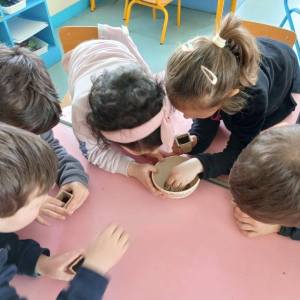 Pays-de-la-Loire Introduction to the Farm Experience