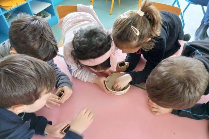 Pays-de-la-Loire Introduction to the Farm Experience