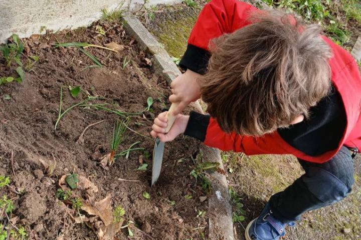 Pays-de-la-Loire Introduction to the Farm Experience