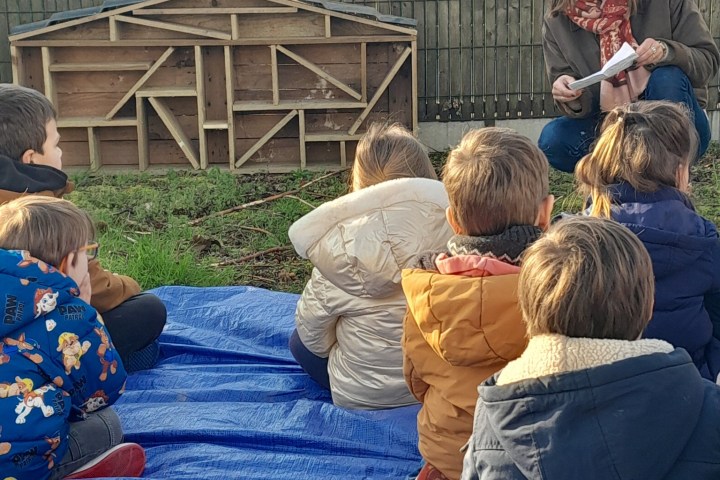 Pays-de-la-Loire Introduction to the Farm Experience