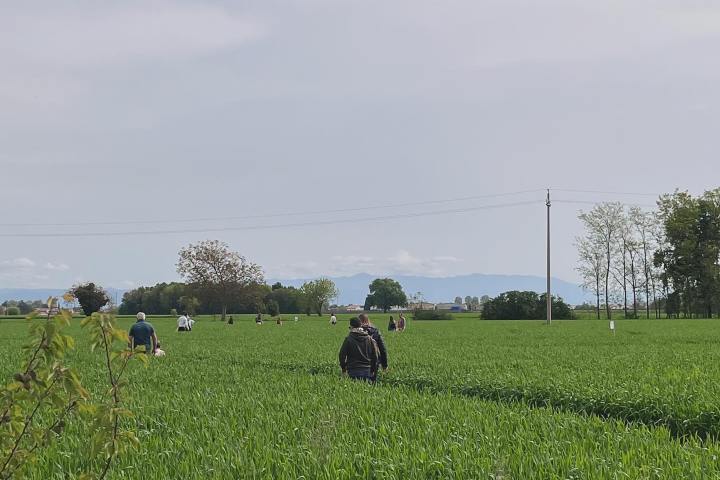 Friuli-Venezia Giulia Farm Picnic & Maze Experience
