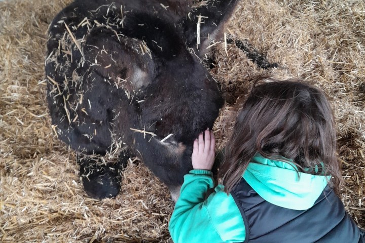Pays-de-la-Loire Introduction to the Farm Experience