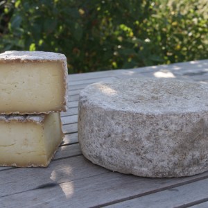 Loire Garden & Farm Immersive Experience