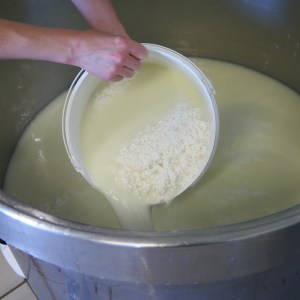 Loire Garden & Farm Immersive Experience