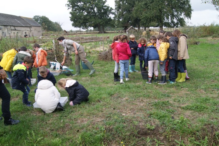 Loire Garden & Farm Immersive Experience
