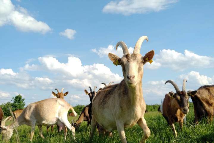 Loire Garden & Farm Immersive Experience