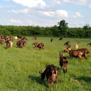 Loire Garden & Farm Immersive Experience