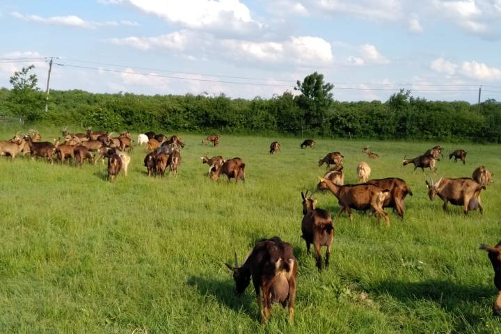 Loire Garden & Farm Immersive Experience