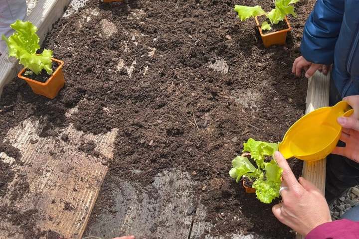 Aquitaine Vegetable Garden Workshop Experience