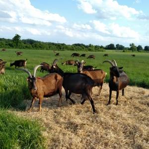 Loire Garden & Farm Immersive Experience