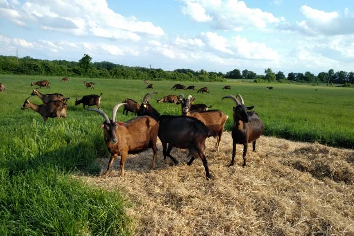 Loire Garden & Farm Immersive Experience