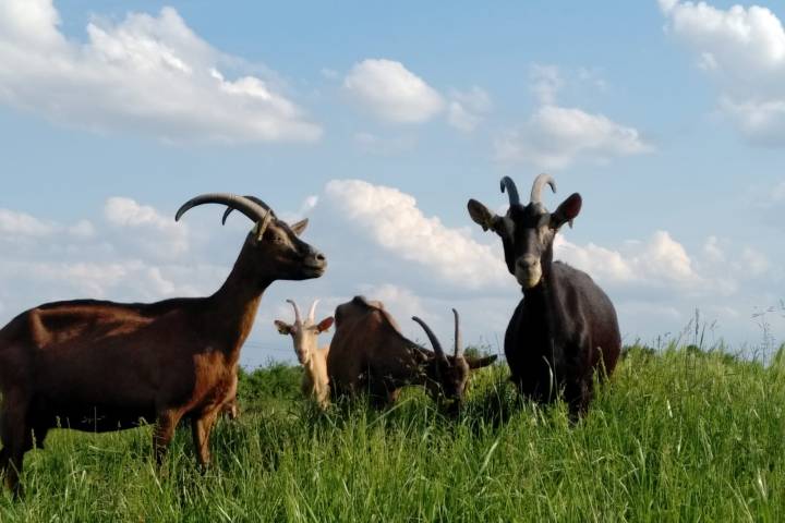 Loire Garden & Farm Immersive Experience