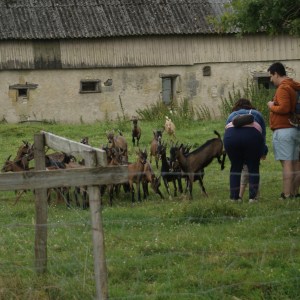 Loire Garden & Farm Immersive Experience