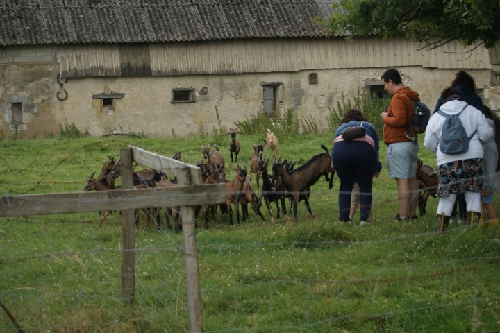 Loire Garden & Farm Immersive Experience