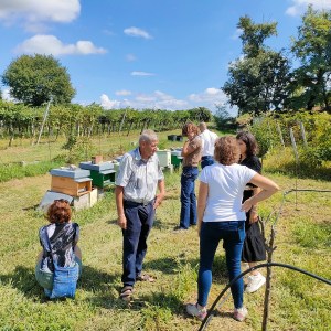 Verona Beekepping Visit & Tasting Experience