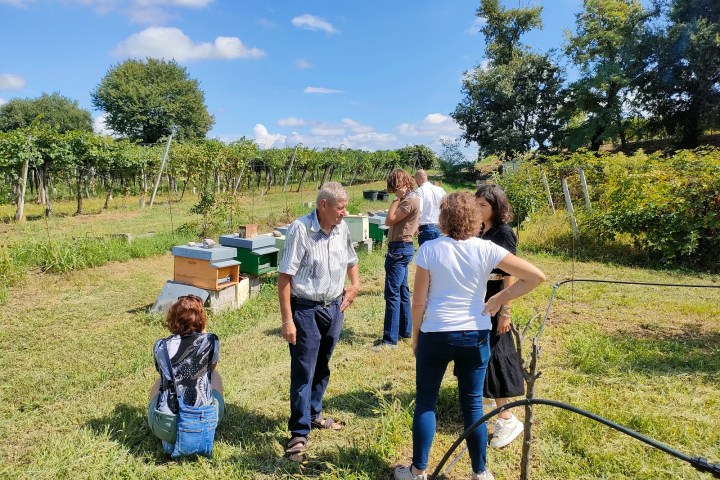 Verona Beekepping Visit & Tasting Experience