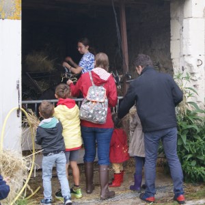 Loire Garden & Farm Immersive Experience
