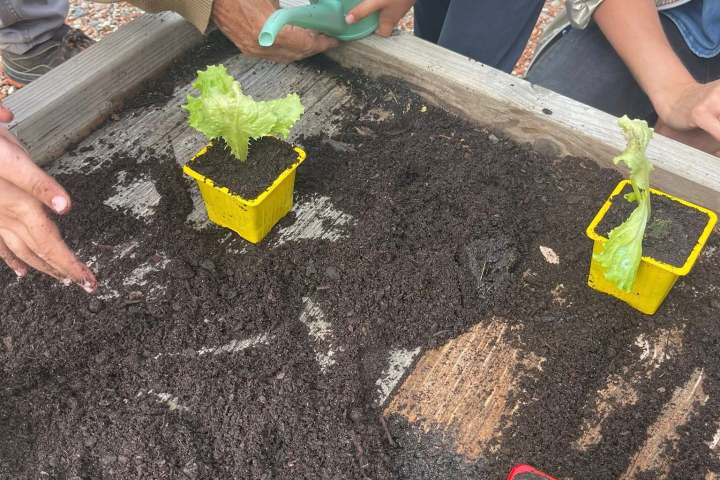 Aquitaine Vegetable Garden Workshop Experience