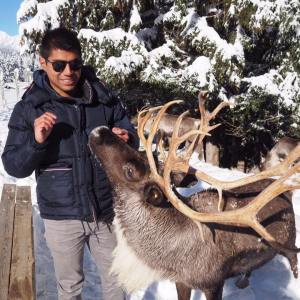 Rhône-Alpes Reindeer Experience