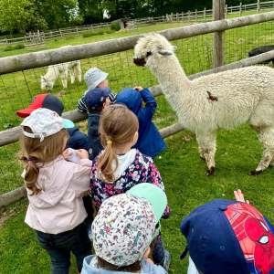 Normandy Farm Guided Tour Experience