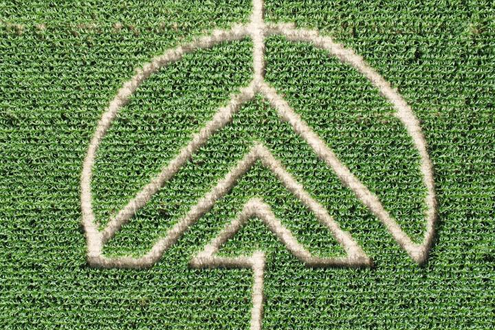 Friuli-Venezia Giulia Farm Picnic & Maze Experience