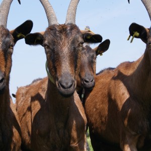 Loire Garden & Farm Immersive Experience