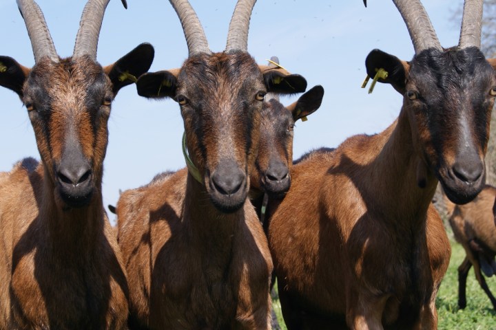 Loire Garden & Farm Immersive Experience