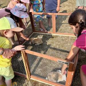 Normandy Farm Guided Tour Experience