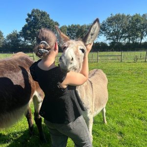 Pays-de-la-Loire Introduction to the Farm Experience
