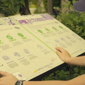 Child with glasses and cap reading an outdoor information board.