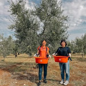 Puglia Olive Oil Tasting Experience