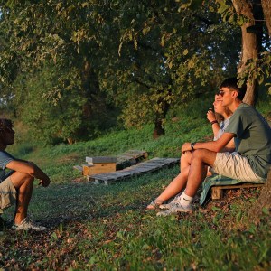 Verona Beekepping Visit & Tasting Experience