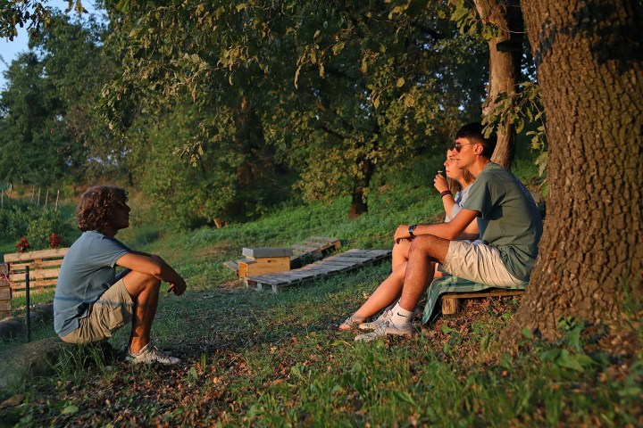 Verona Beekepping Visit & Tasting Experience