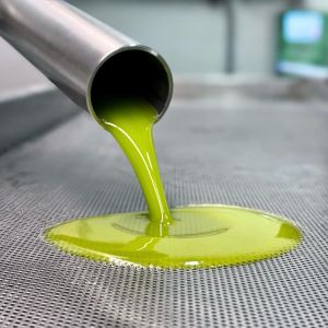 Puglia Olive Oil Tasting Experience