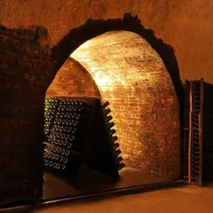 Champagne Guided Tour Experience