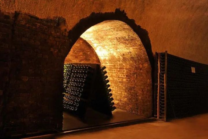 Champagne Guided Tour Experience