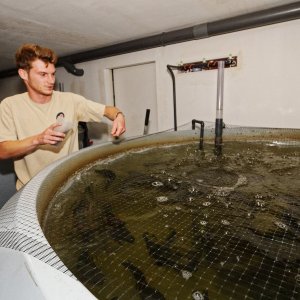 Normandy Aquaponics Tour & Workshops Experience