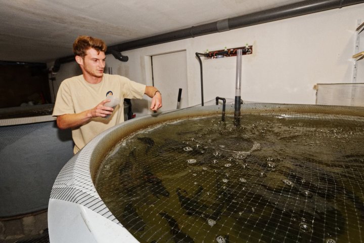 Normandy Aquaponics Tour & Workshops Experience