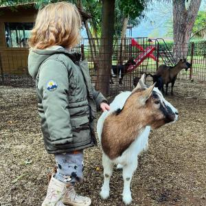 Lazio Cheese Workshop Experience