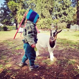 Lazio Cheese Workshop Experience