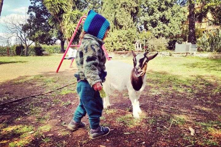 Lazio Cheese Workshop Experience