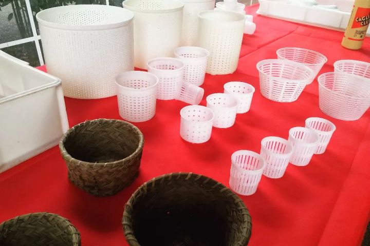 Lazio Cheese Workshop Experience