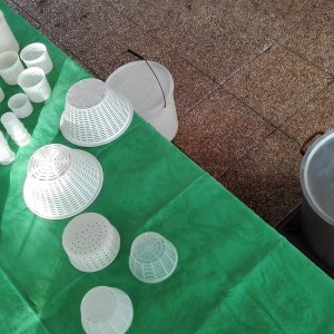 Lazio Cheese Workshop Experience