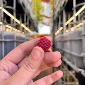 Normandy Aquaponics Tour & Workshops Experience